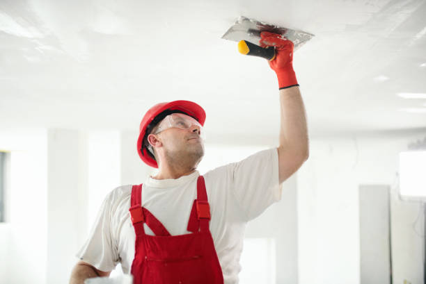 Bryan, OH Mold Removal Company