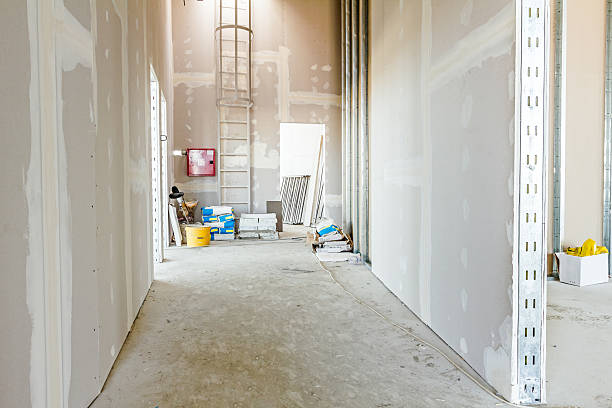 Best Comprehensive Air Testing for Mold Contaminants  in Bryan, OH