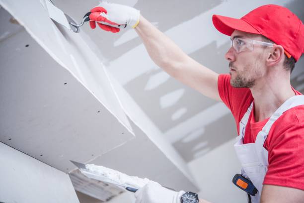Best Dehumidification Services  in Bryan, OH
