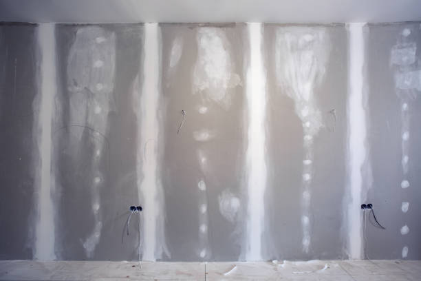 Best Mold Remediation for Healthcare Facilities  in Bryan, OH